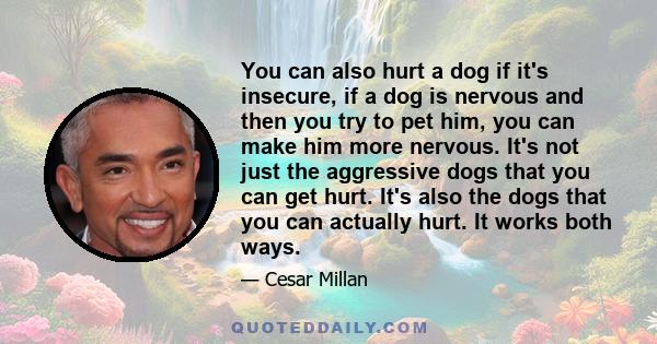 You can also hurt a dog if it's insecure, if a dog is nervous and then you try to pet him, you can make him more nervous. It's not just the aggressive dogs that you can get hurt. It's also the dogs that you can actually 