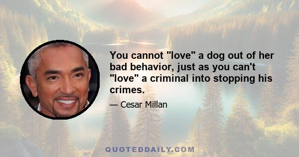 You cannot love a dog out of her bad behavior, just as you can't love a criminal into stopping his crimes.