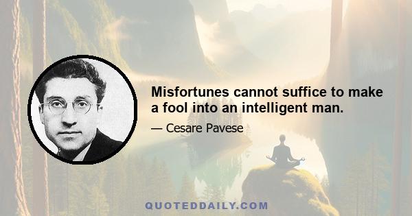 Misfortunes cannot suffice to make a fool into an intelligent man.