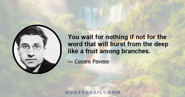 You wait for nothing if not for the word that will burst from the deep like a fruit among branches.