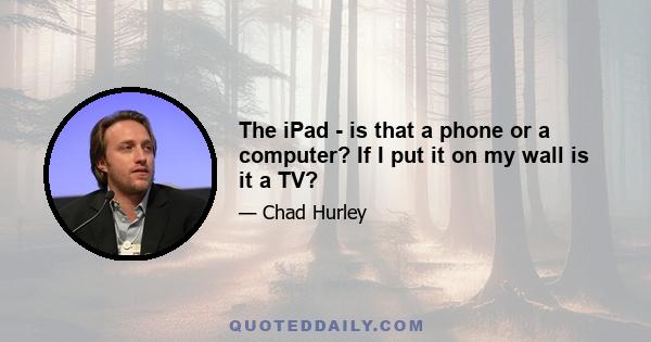 The iPad - is that a phone or a computer? If I put it on my wall is it a TV?