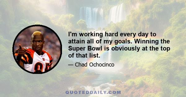 I'm working hard every day to attain all of my goals. Winning the Super Bowl is obviously at the top of that list.