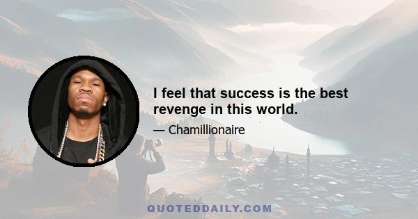 I feel that success is the best revenge in this world.