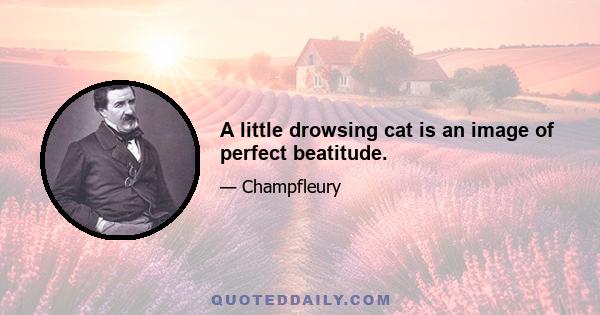 A little drowsing cat is an image of perfect beatitude.