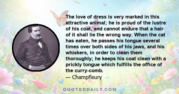 The love of dress is very marked in this attractive animal; he is proud of the lustre of his coat, and cannot endure that a hair of it shall lie the wrong way. When the cat has eaten, he passes his tongue several times