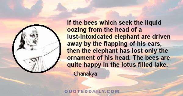 If the bees which seek the liquid oozing from the head of a lust-intoxicated elephant are driven away by the flapping of his ears, then the elephant has lost only the ornament of his head. The bees are quite happy in