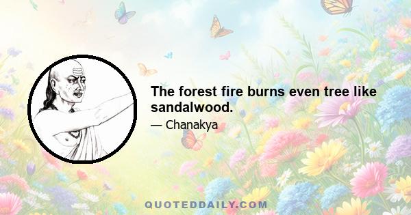 The forest fire burns even tree like sandalwood.