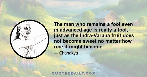 The man who remains a fool even in advanced age is really a fool, just as the Indra-Varuna fruit does not become sweet no matter how ripe it might become.