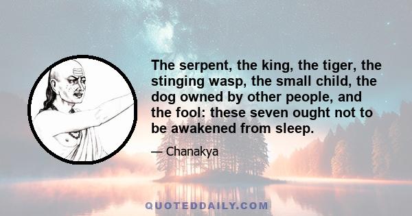 The serpent, the king, the tiger, the stinging wasp, the small child, the dog owned by other people, and the fool: these seven ought not to be awakened from sleep.