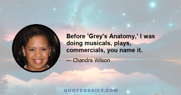 Before 'Grey's Anatomy,' I was doing musicals, plays, commercials, you name it.