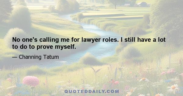 No one's calling me for lawyer roles. I still have a lot to do to prove myself.