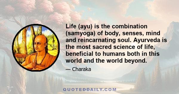 Life (ayu) is the combination (samyoga) of body, senses, mind and reincarnating soul. Ayurveda is the most sacred science of life, beneficial to humans both in this world and the world beyond.