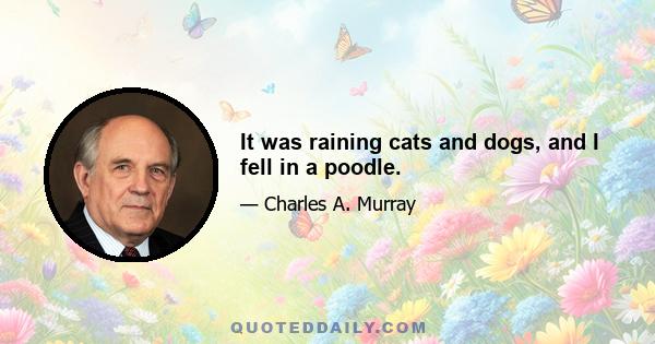 It was raining cats and dogs, and I fell in a poodle.