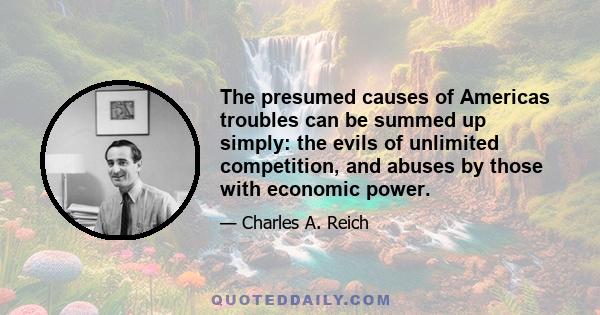 The presumed causes of Americas troubles can be summed up simply: the evils of unlimited competition, and abuses by those with economic power.