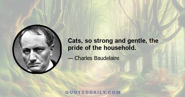 Cats, so strong and gentle, the pride of the household.