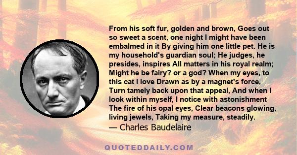 From his soft fur, golden and brown, Goes out so sweet a scent, one night I might have been embalmed in it By giving him one little pet. He is my household's guardian soul; He judges, he presides, inspires All matters