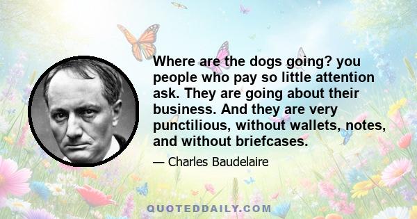 Where are the dogs going? you people who pay so little attention ask. They are going about their business. And they are very punctilious, without wallets, notes, and without briefcases.