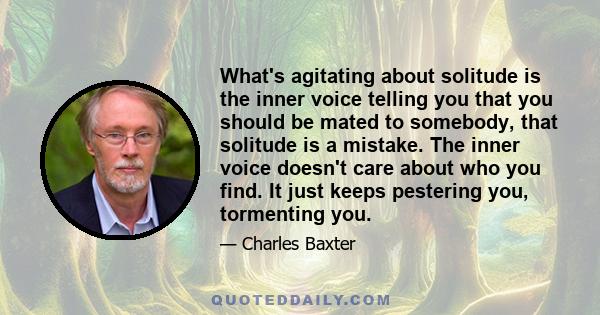 What's agitating about solitude is the inner voice telling you that you should be mated to somebody, that solitude is a mistake. The inner voice doesn't care about who you find. It just keeps pestering you, tormenting