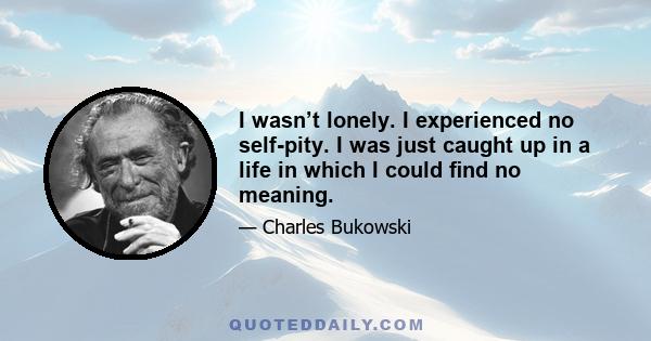 I wasn’t lonely. I experienced no self-pity. I was just caught up in a life in which I could ﬁnd no meaning.