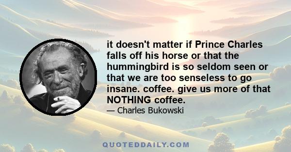 it doesn't matter if Prince Charles falls off his horse or that the hummingbird is so seldom seen or that we are too senseless to go insane. coffee. give us more of that NOTHING coffee.