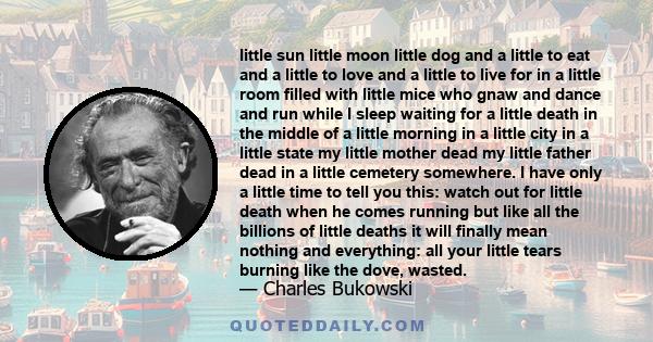 little sun little moon little dog and a little to eat and a little to love and a little to live for in a little room filled with little mice who gnaw and dance and run while I sleep waiting for a little death in the