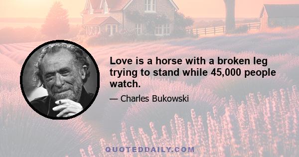 Love is a horse with a broken leg trying to stand while 45,000 people watch.