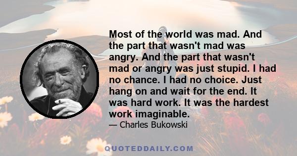 Most of the world was mad. And the part that wasn't mad was angry. And the part that wasn't mad or angry was just stupid. I had no chance. I had no choice. Just hang on and wait for the end. It was hard work. It was the 