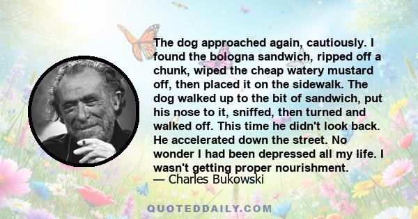 The dog approached again, cautiously. I found the bologna sandwich, ripped off a chunk, wiped the cheap watery mustard off, then placed it on the sidewalk. The dog walked up to the bit of sandwich, put his nose to it,