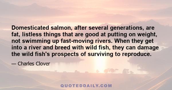 Domesticated salmon, after several generations, are fat, listless things that are good at putting on weight, not swimming up fast-moving rivers. When they get into a river and breed with wild fish, they can damage the