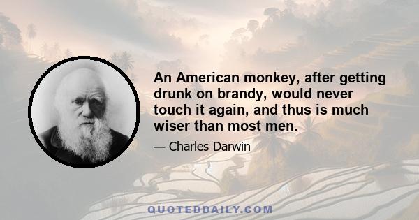 An American monkey, after getting drunk on brandy, would never touch it again, and thus is much wiser than most men.