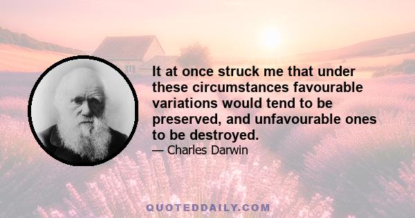 It at once struck me that under these circumstances favourable variations would tend to be preserved, and unfavourable ones to be destroyed.