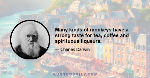 Many kinds of monkeys have a strong taste for tea, coffee and spirituous liqueurs.