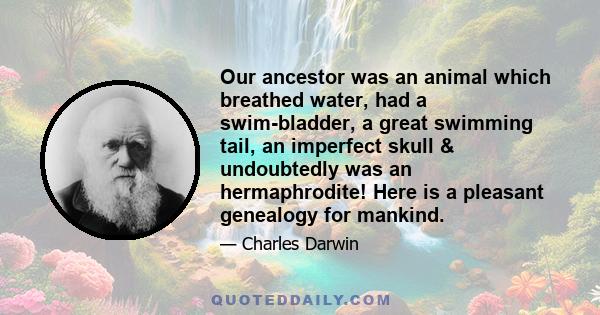 Our ancestor was an animal which breathed water, had a swim-bladder, a great swimming tail, an imperfect skull & undoubtedly was an hermaphrodite! Here is a pleasant genealogy for mankind.