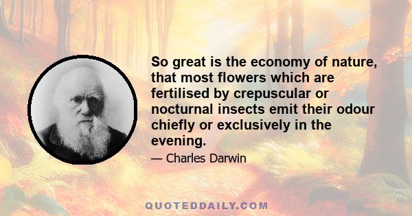 So great is the economy of nature, that most flowers which are fertilised by crepuscular or nocturnal insects emit their odour chiefly or exclusively in the evening.