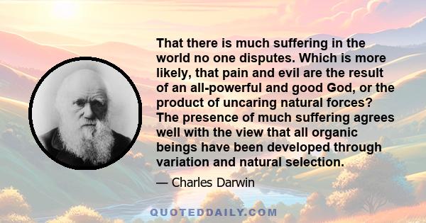 That there is much suffering in the world no one disputes. Which is more likely, that pain and evil are the result of an all-powerful and good God, or the product of uncaring natural forces? The presence of much