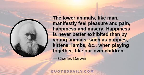 The lower animals, like man, manifestly feel pleasure and pain, happiness and misery. Happiness is never better exhibited than by young animals, such as puppies, kittens, lambs, &c., when playing together, like our own