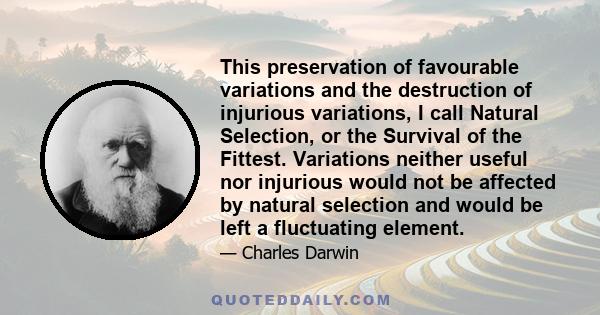 This preservation of favourable variations and the destruction of injurious variations, I call Natural Selection, or the Survival of the Fittest. Variations neither useful nor injurious would not be affected by natural