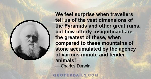 We feel surprise when travellers tell us of the vast dimensions of the Pyramids and other great ruins, but how utterly insignificant are the greatest of these, when compared to these mountains of stone accumulated by