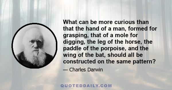 What can be more curious than that the hand of a man, formed for grasping, that of a mole for digging, the leg of the horse, the paddle of the porpoise, and the wing of the bat, should all be constructed on the same