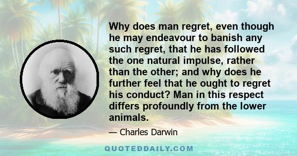 Why does man regret, even though he may endeavour to banish any such regret, that he has followed the one natural impulse, rather than the other; and why does he further feel that he ought to regret his conduct? Man in