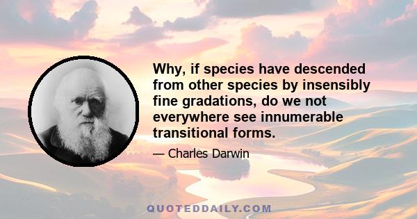 Why, if species have descended from other species by insensibly fine gradations, do we not everywhere see innumerable transitional forms.