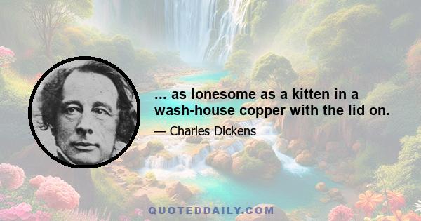 ... as lonesome as a kitten in a wash-house copper with the lid on.