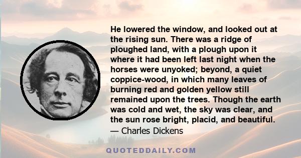 He lowered the window, and looked out at the rising sun. There was a ridge of ploughed land, with a plough upon it where it had been left last night when the horses were unyoked; beyond, a quiet coppice-wood, in which