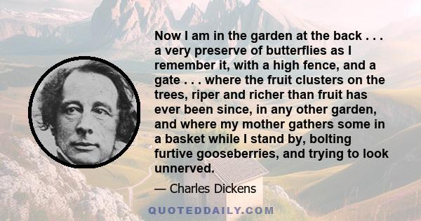 Now I am in the garden at the back . . . a very preserve of butterflies as I remember it, with a high fence, and a gate . . . where the fruit clusters on the trees, riper and richer than fruit has ever been since, in