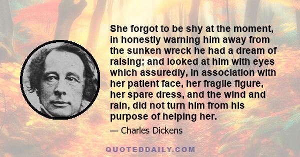 She forgot to be shy at the moment, in honestly warning him away from the sunken wreck he had a dream of raising; and looked at him with eyes which assuredly, in association with her patient face, her fragile figure,