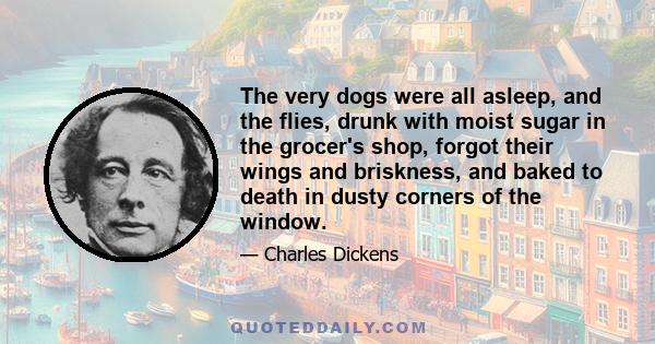 The very dogs were all asleep, and the flies, drunk with moist sugar in the grocer's shop, forgot their wings and briskness, and baked to death in dusty corners of the window.