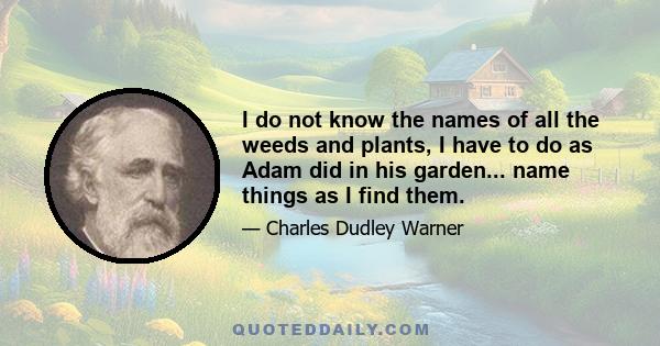 I do not know the names of all the weeds and plants, I have to do as Adam did in his garden... name things as I find them.