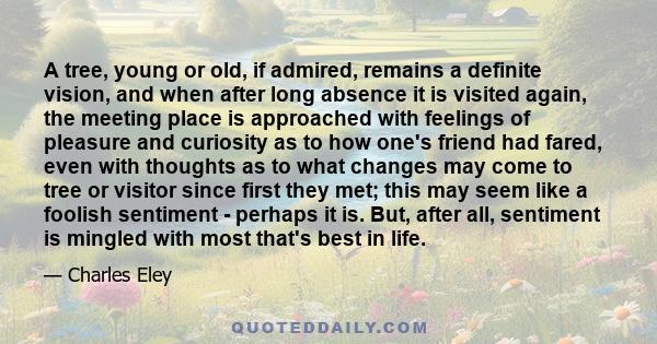 A tree, young or old, if admired, remains a definite vision, and when after long absence it is visited again, the meeting place is approached with feelings of pleasure and curiosity as to how one's friend had fared,