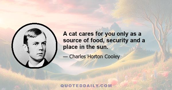 A cat cares for you only as a source of food, security and a place in the sun.