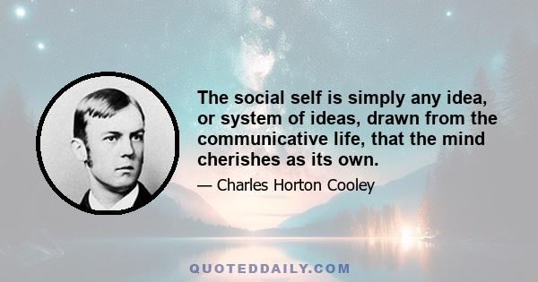 The social self is simply any idea, or system of ideas, drawn from the communicative life, that the mind cherishes as its own.